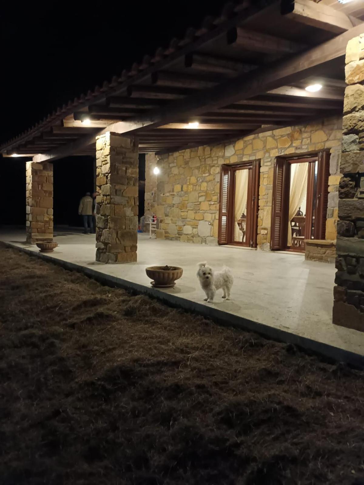 Villa Marina Limnos Pedhinon 外观 照片
